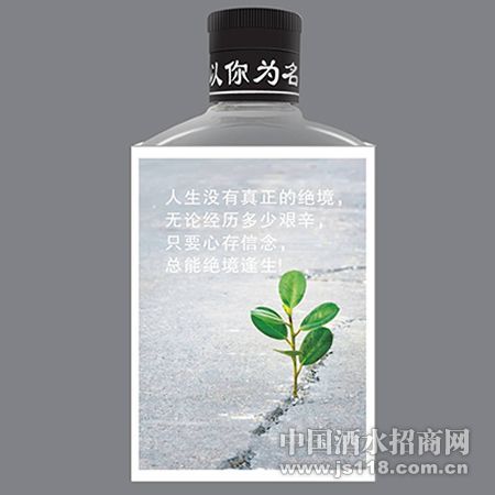 ����Ϊ��-�澳�гɳ���