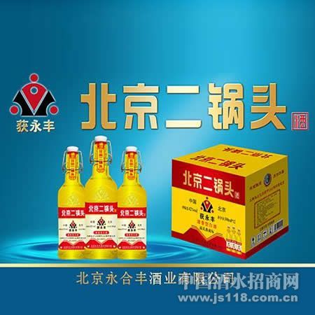金品装500ml获永丰北京二锅头42度52度酒