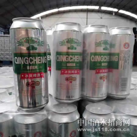 冰爽啤酒500mlx9