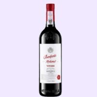 ��������VIN389�ɺ����Ѿ�