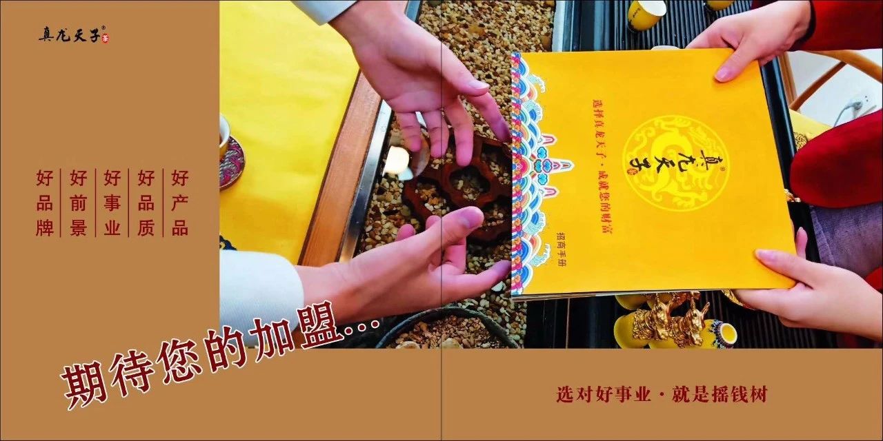 真龙天子 真龙天子