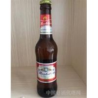 优质甘醇青岛醇厚330夜场啤酒500ml