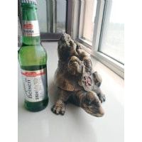 贝森 纯生贝森啤酒