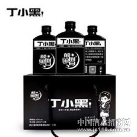 丁小黑自黑瓶颠倒黑白箱装