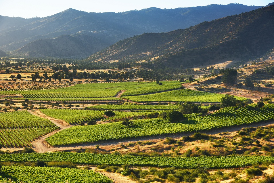 ������˹����¼���
