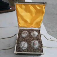 ��ƿװ����ľ���