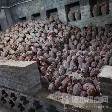 坛藏窖酒