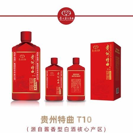 ��������T10-������