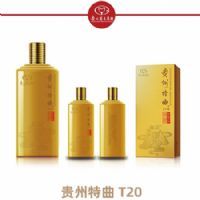 ��������T20-��������
