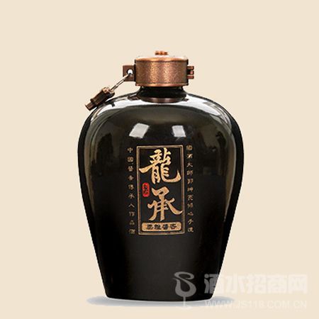 龙承坊洞藏15