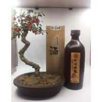 52��500ml�ƹ��մ�ƿ����ԭ��