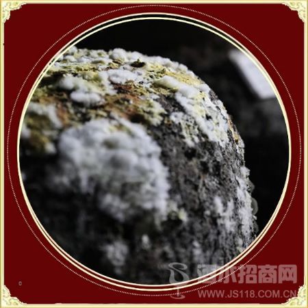 大地魂四季洞藏酒