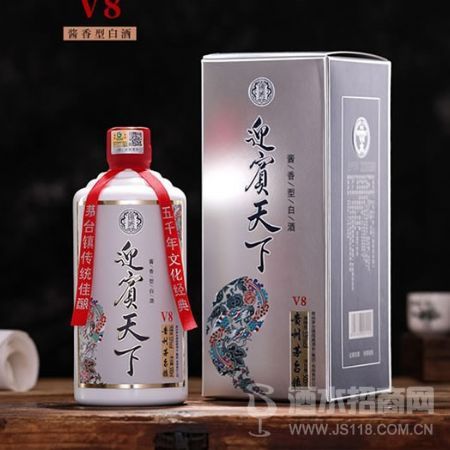 迎宾天下-V8