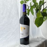 �ʸ��ϼ��2019�ɺ����Ѿ�