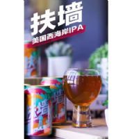 ����ǽ��&nbsp-&nbsp����������IPA