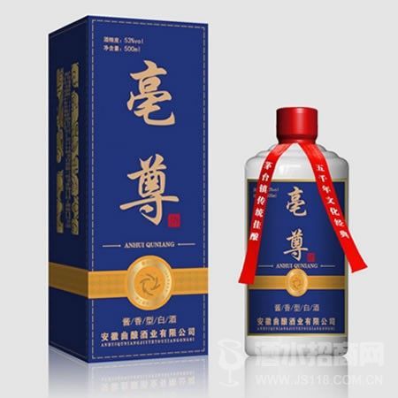 亳尊银尊