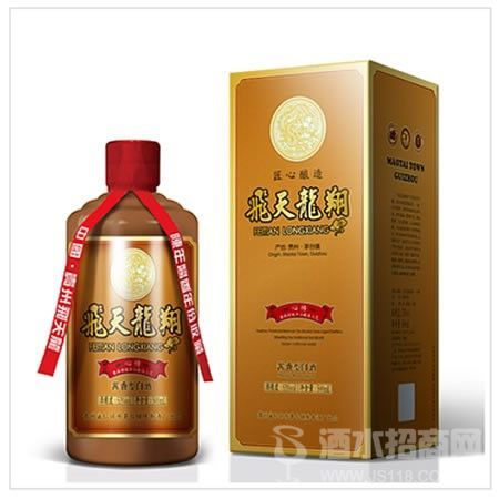 飞天龙翔·心传