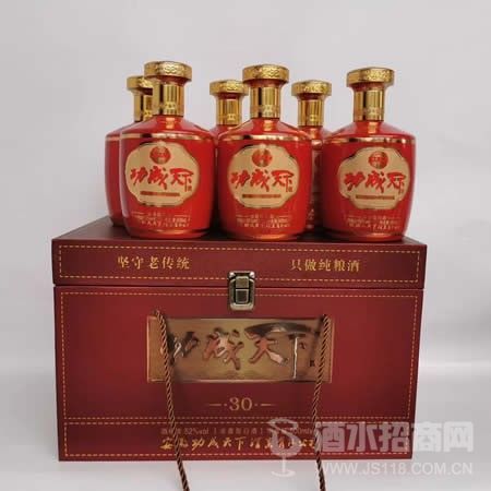 功成天下酒包装 30
