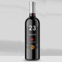 23�����Ӹɺ����Ѿ�