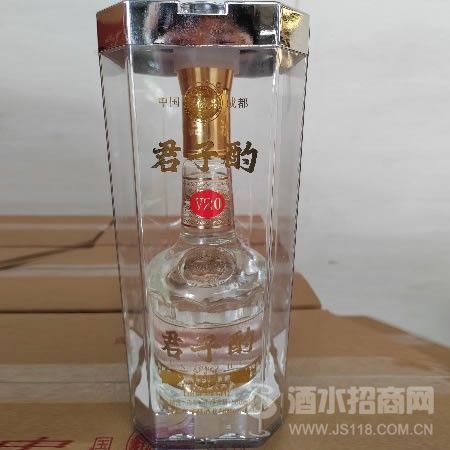 君子酌V20