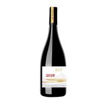 ������2019��ϼ��ɺ����Ѿ�