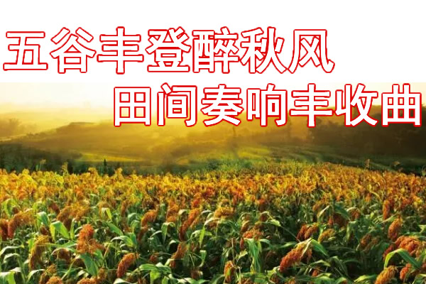 ������ҵ