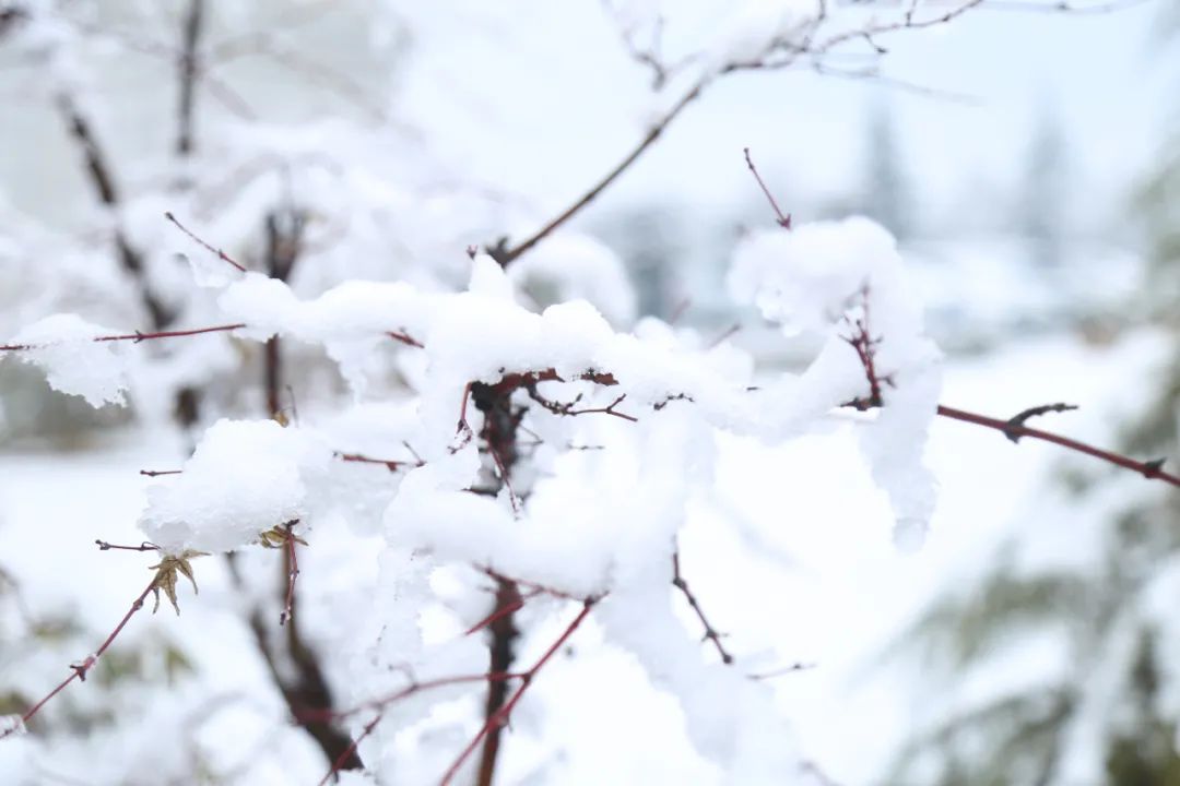 �촨��ҵ