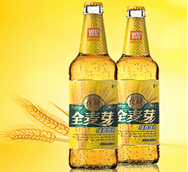 维真优质全麦啤酒