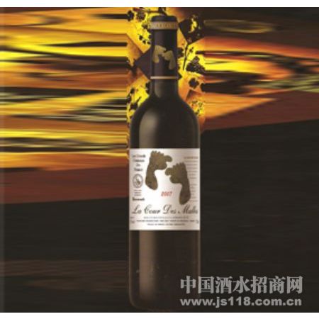 2007�����ձ�������ɺ����Ѿ�