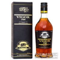 VIGOR500������