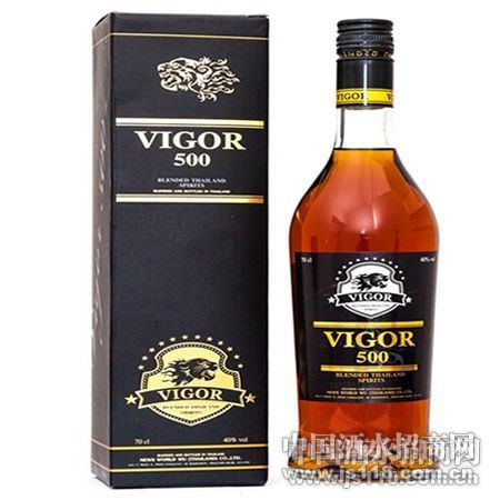 VIGOR500������