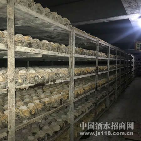 地下酒窖封坛原浆酒