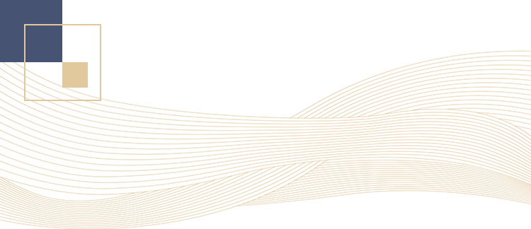 ���ݽ𽴾�
